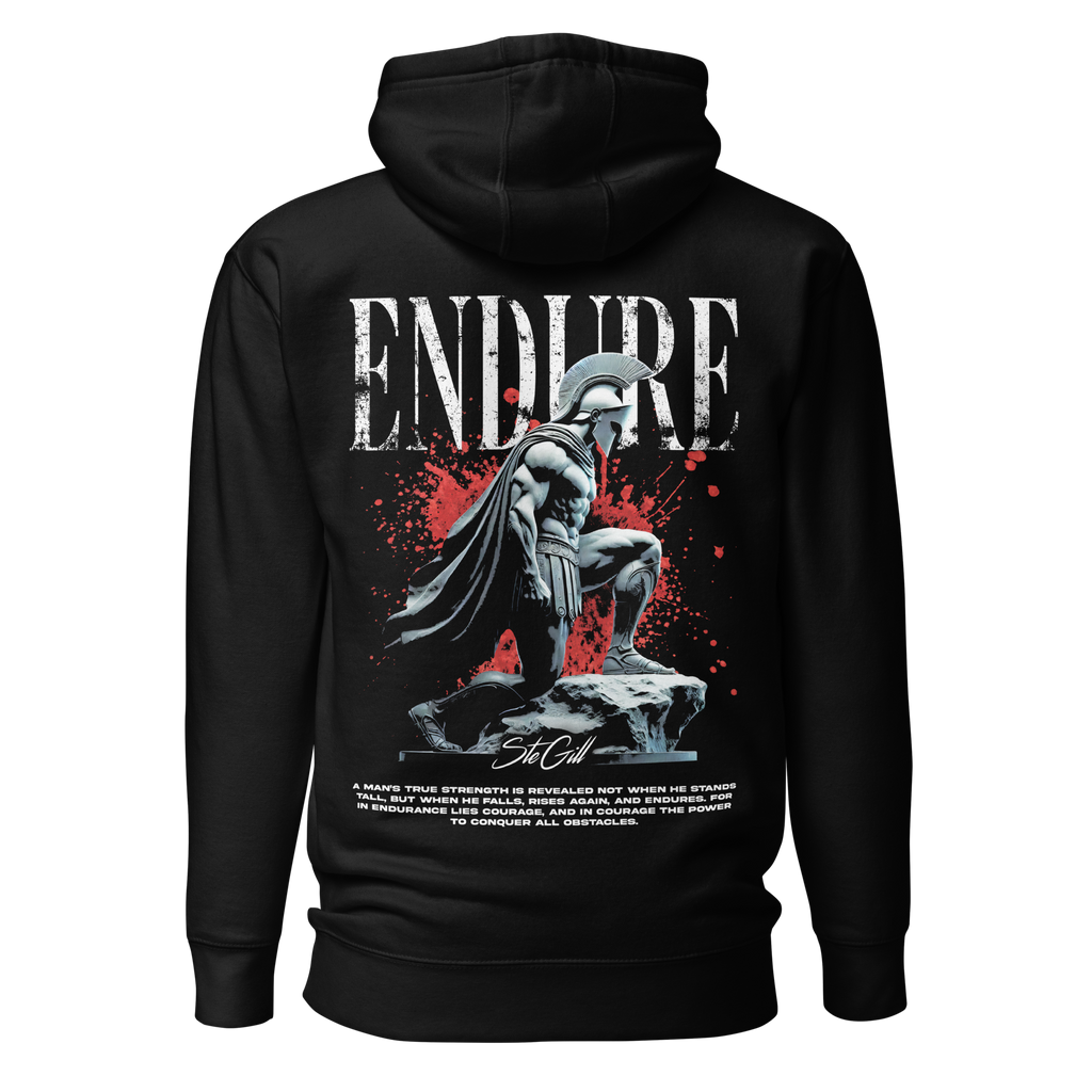 SteGill - Endure, Back